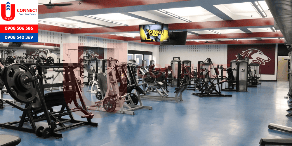 Đại học Southern Illinois, bang Illinois - Mỹ
